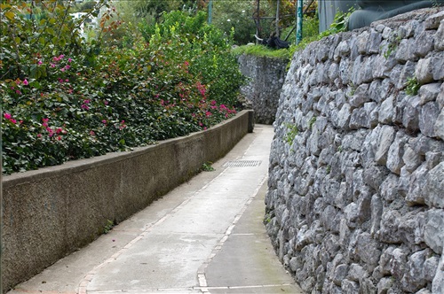 Fenicia Steps