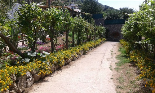 Agriturismo del Sole