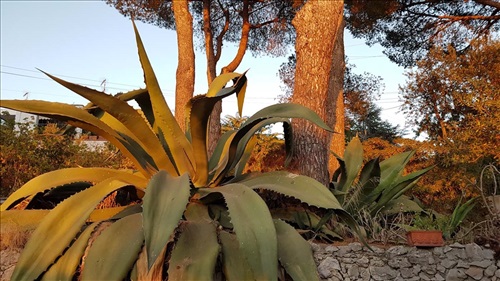 il Rifugio B&B Capri Island