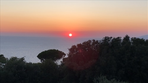 La Draghina B&B Capri Island