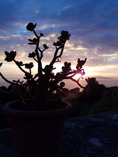 il Rifugio B&B Capri Island