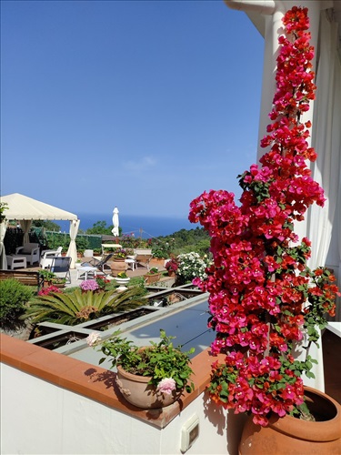 Villa Cristina B&B - Capri Island