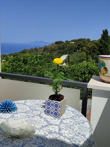 Villa Cristina B&B - Capri Island