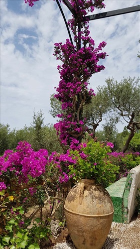 Villa il Rifugio "B&B" Capri Island