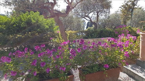 Villa il Rifugio "B&B" Capri Island