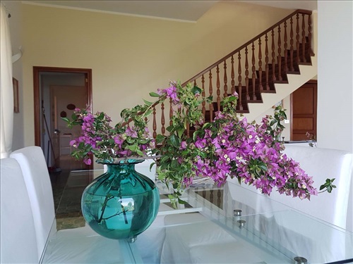 Villa il Rifugio "B&B" Capri Island